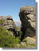 Carrionas_018.jpg