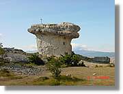 Carrionas_025.jpg