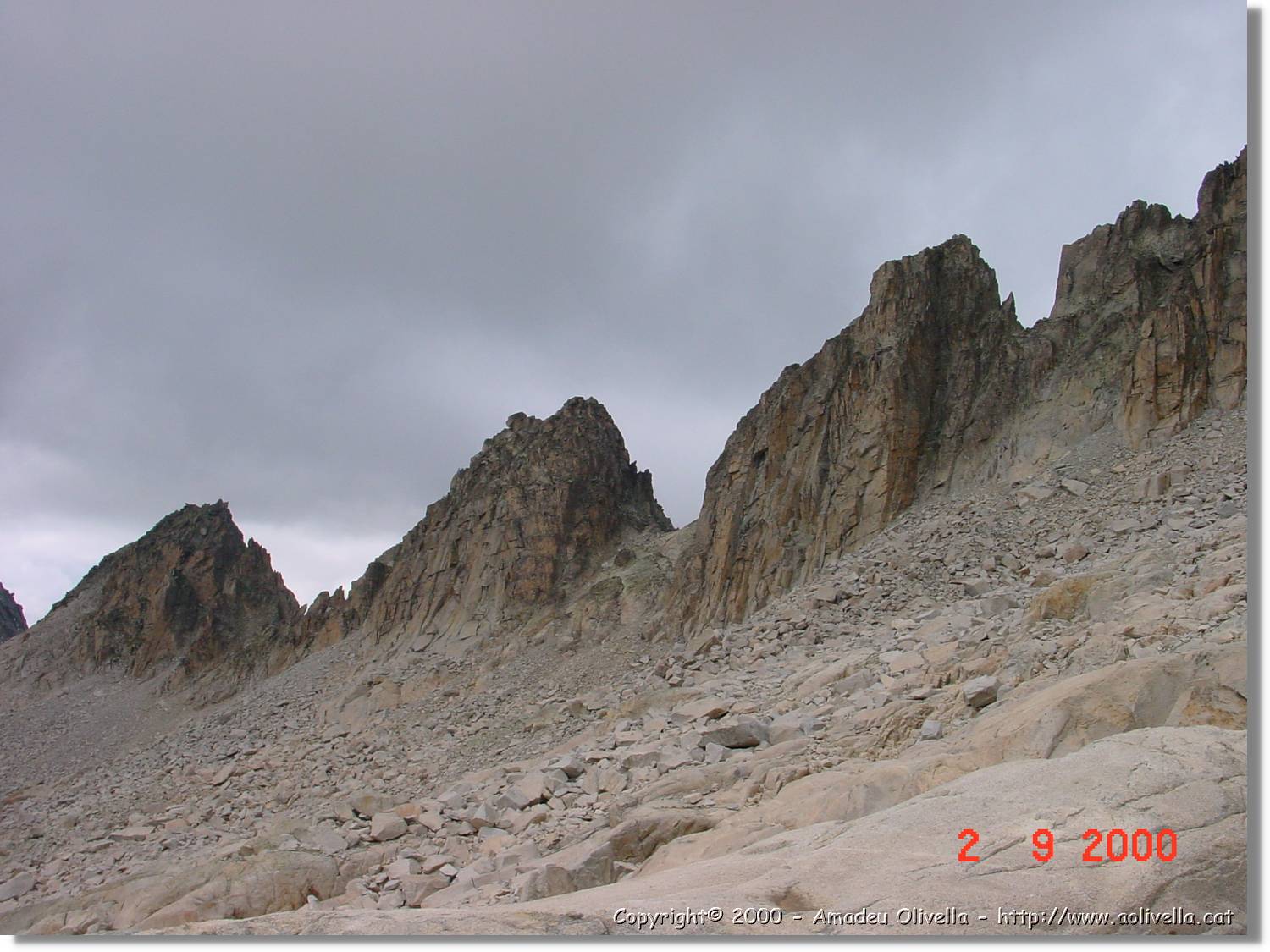 Corones_67.jpg