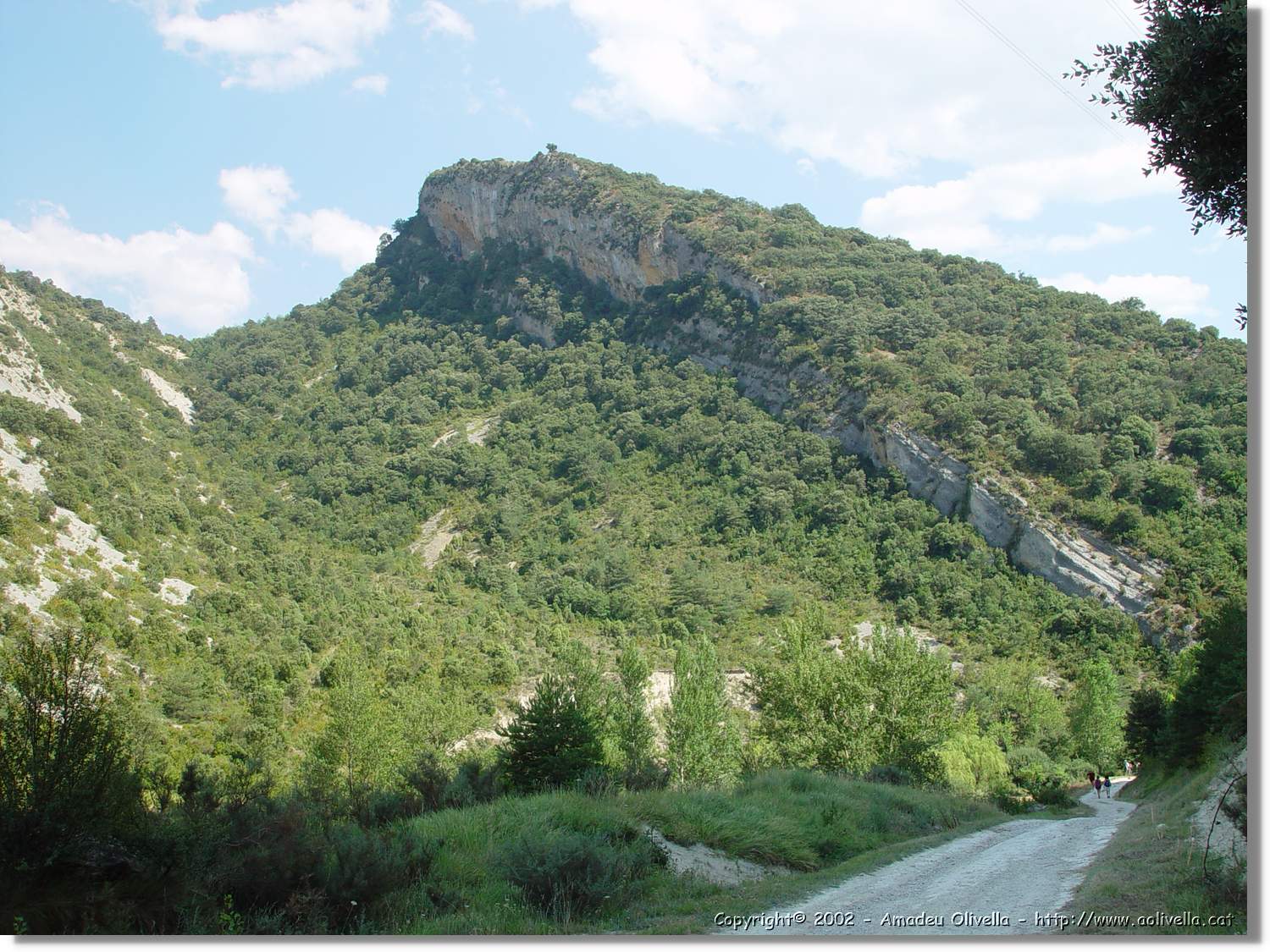 Frias_ 048.jpg