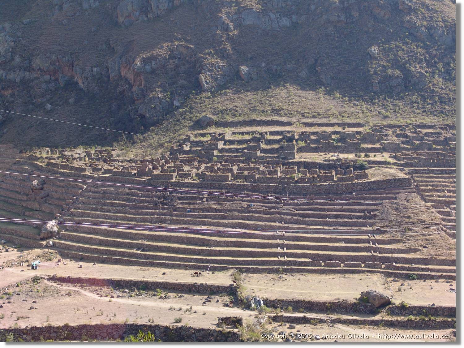 Inca_106.jpg