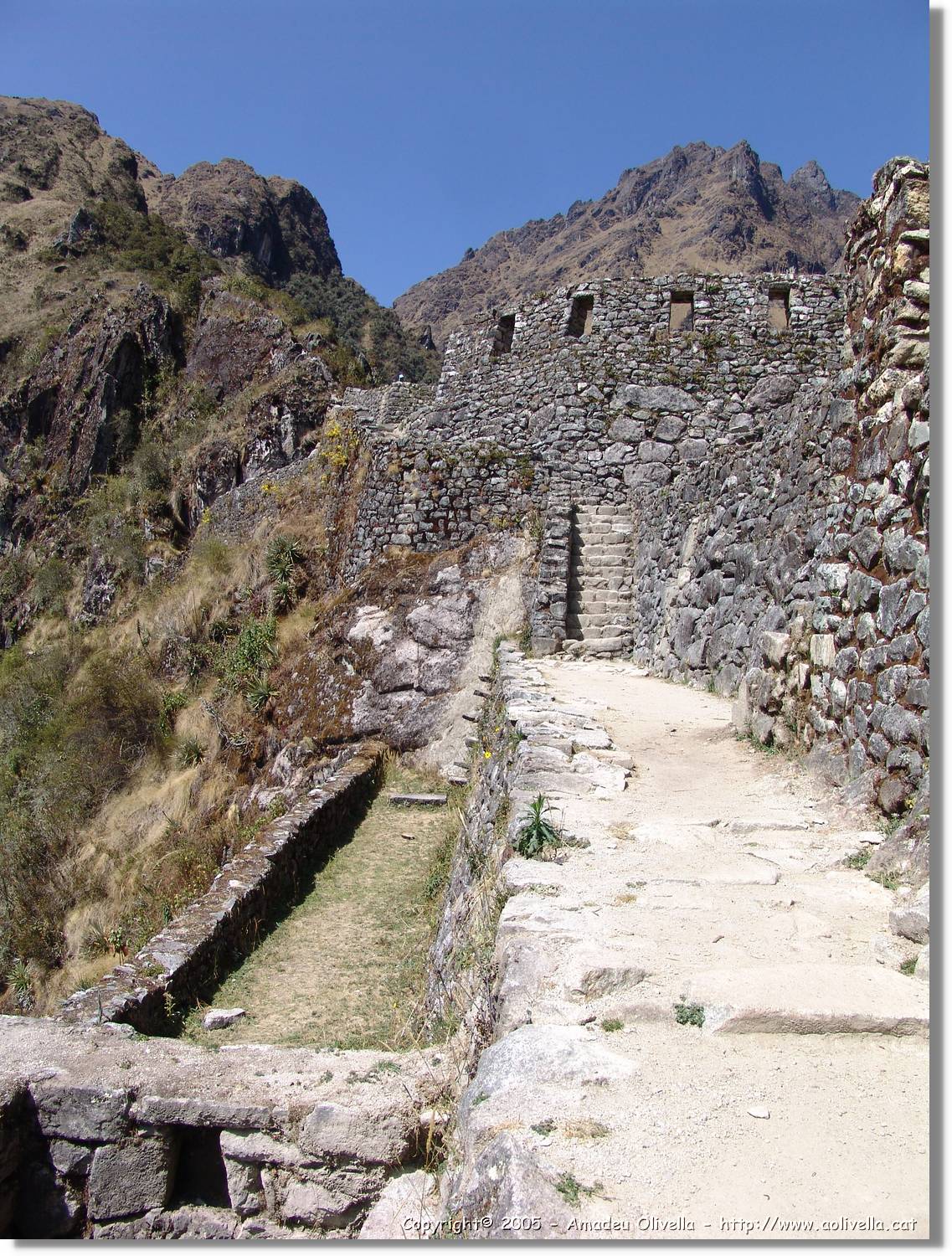 Inca_428.jpg