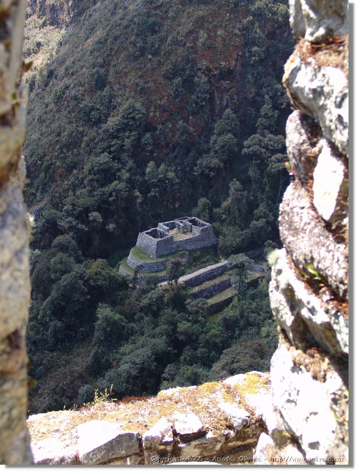 Inca_439.jpg