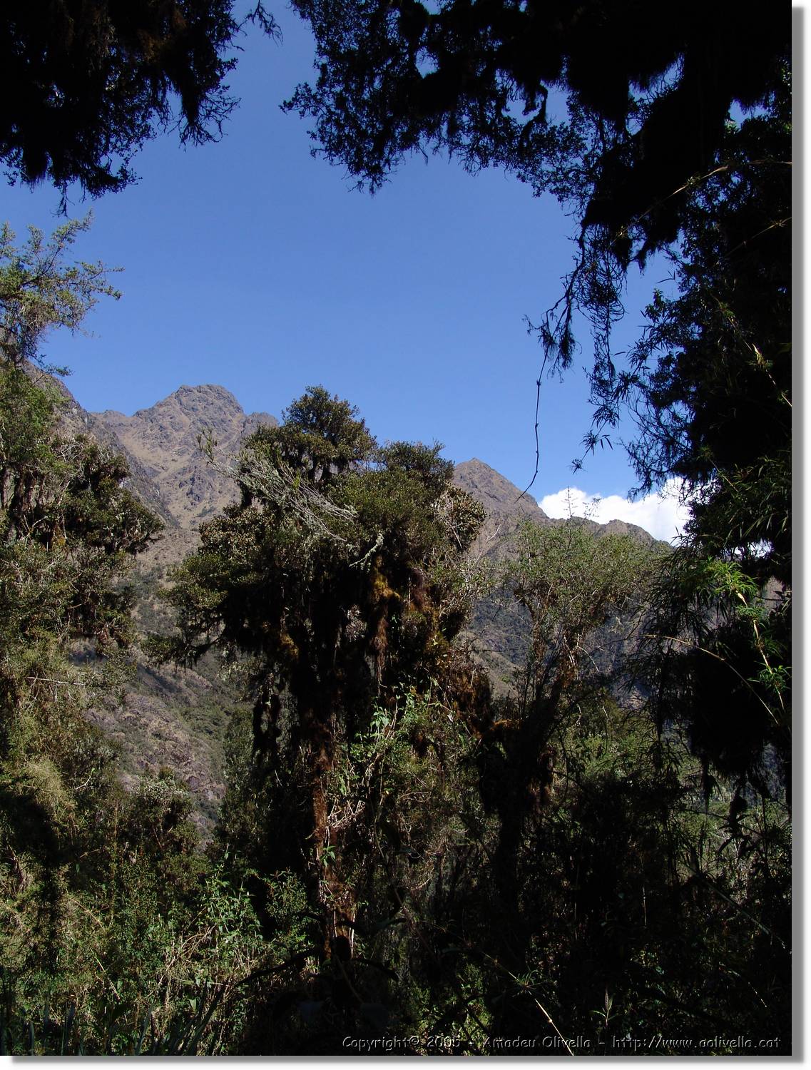 Inca_454.jpg