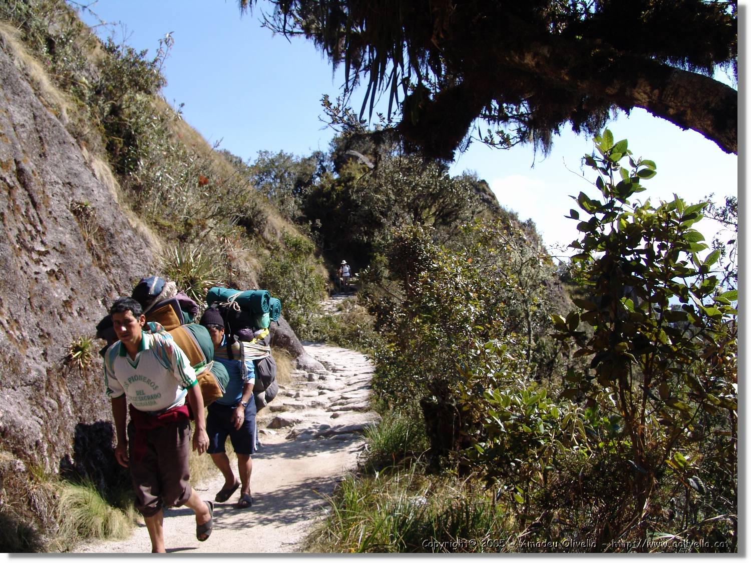 Inca_472.jpg