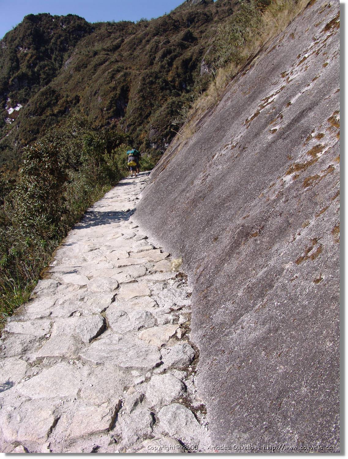 Inca_473.jpg