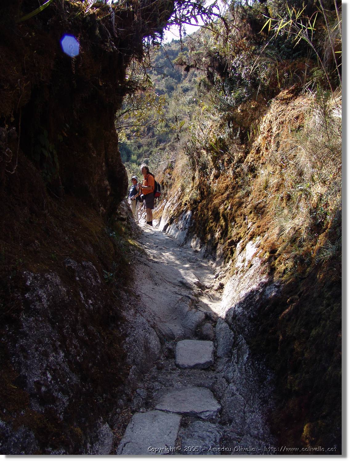 Inca_492.jpg