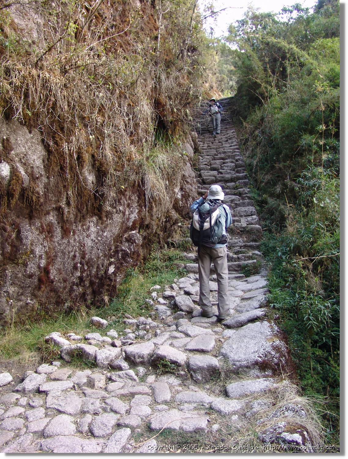 Inca_515.jpg