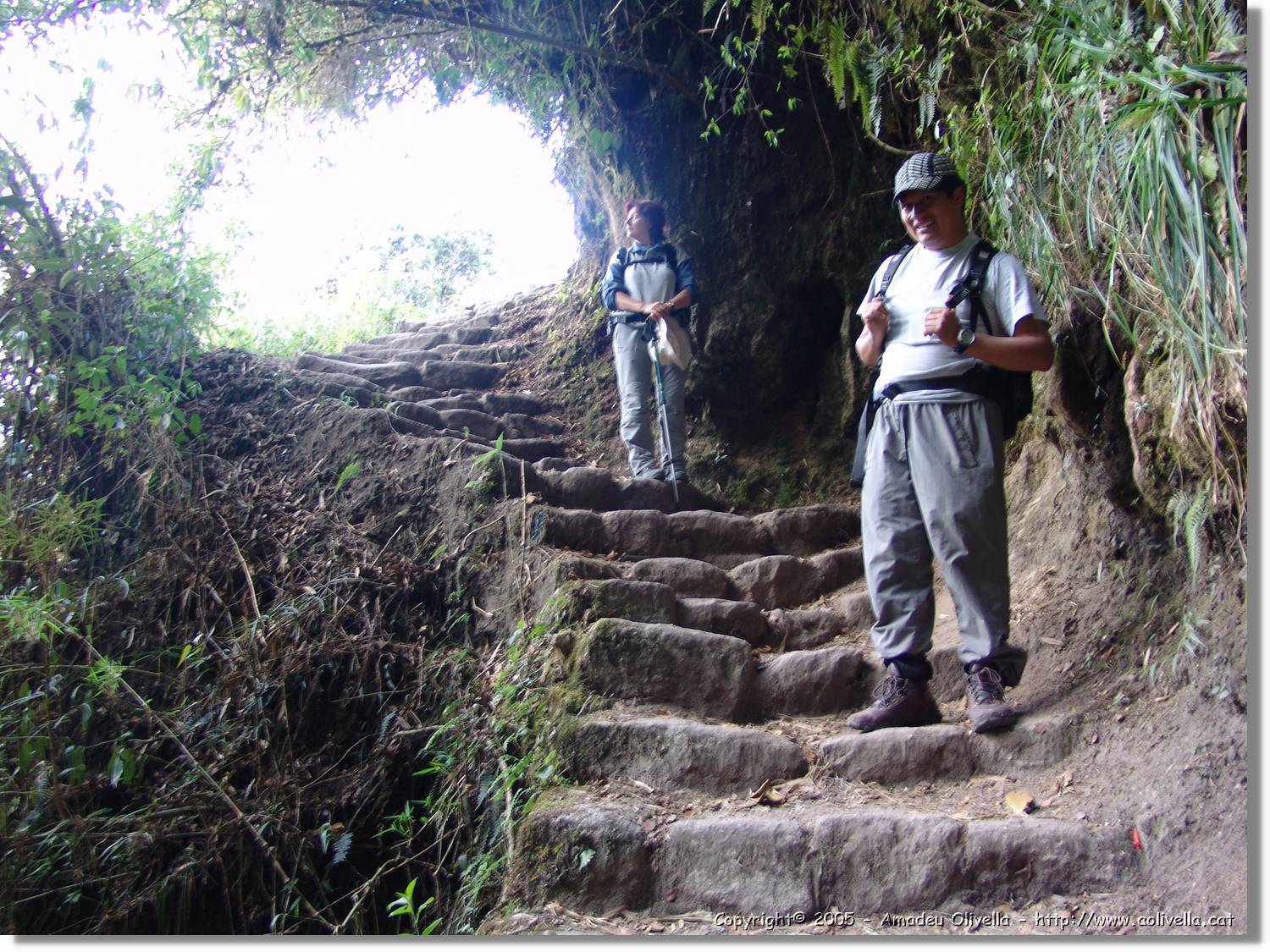 Inca_534.jpg