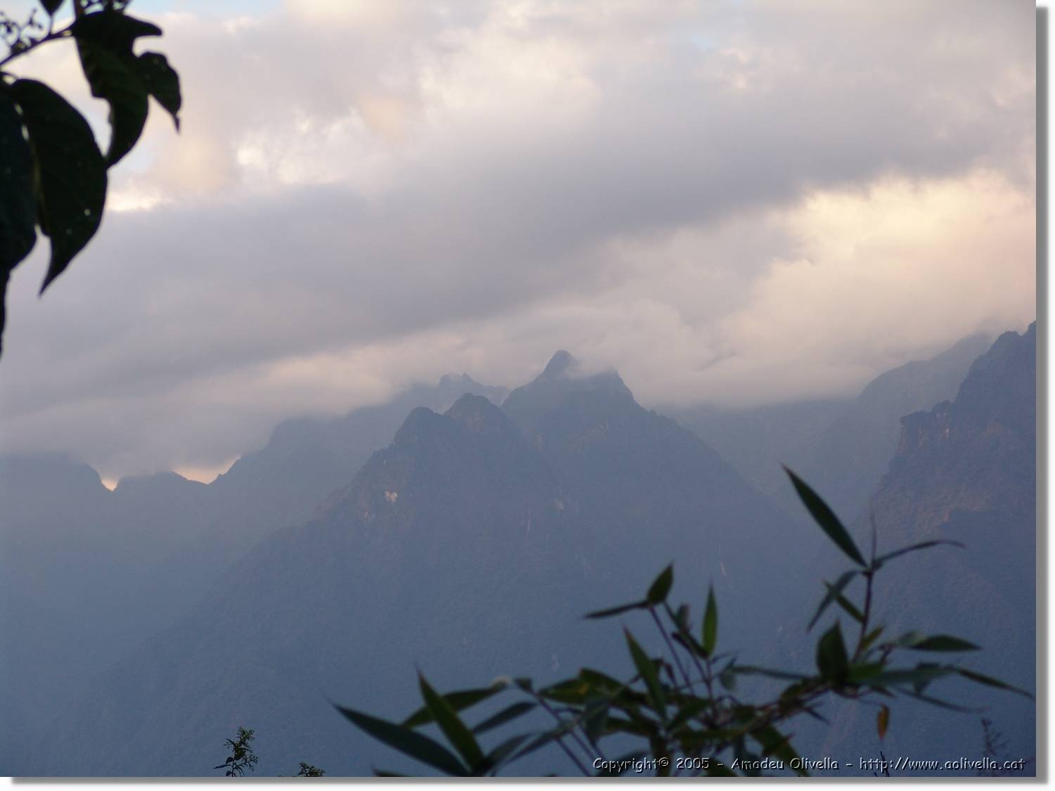 Inca_551.jpg