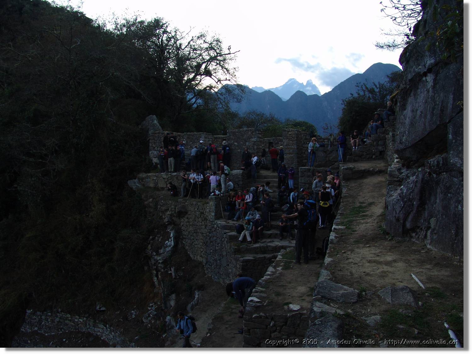 Inca_610.jpg
