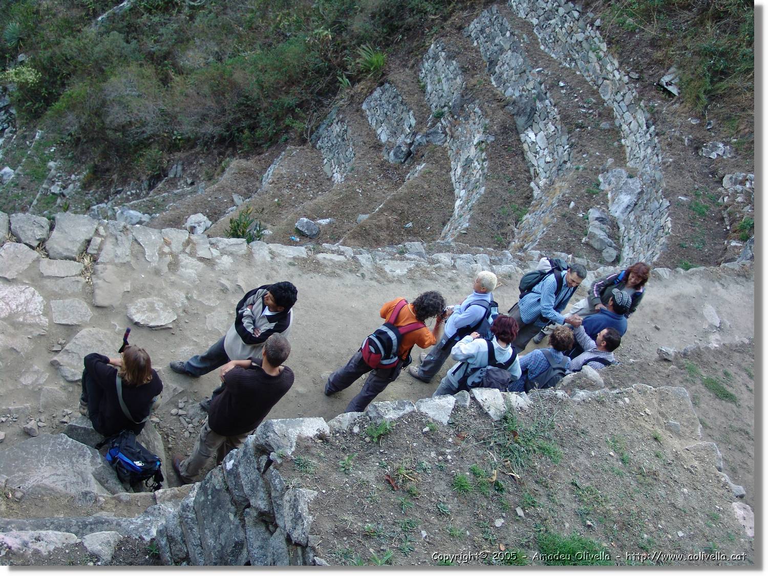 Inca_611.jpg