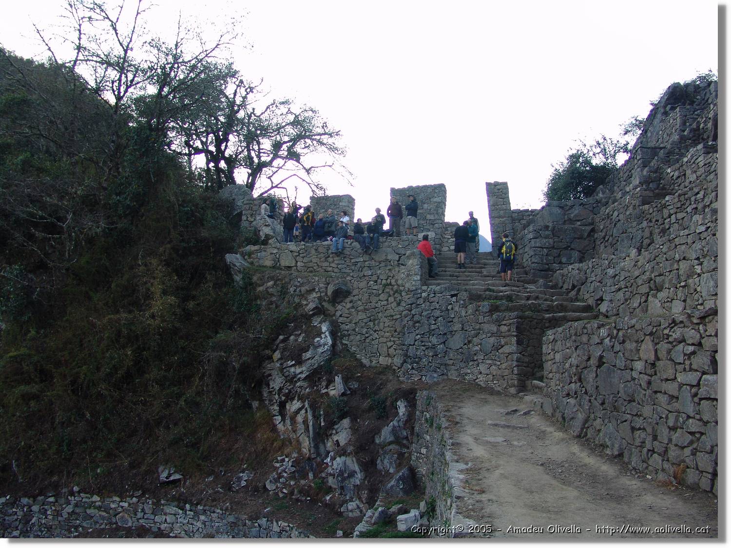 Inca_629.jpg