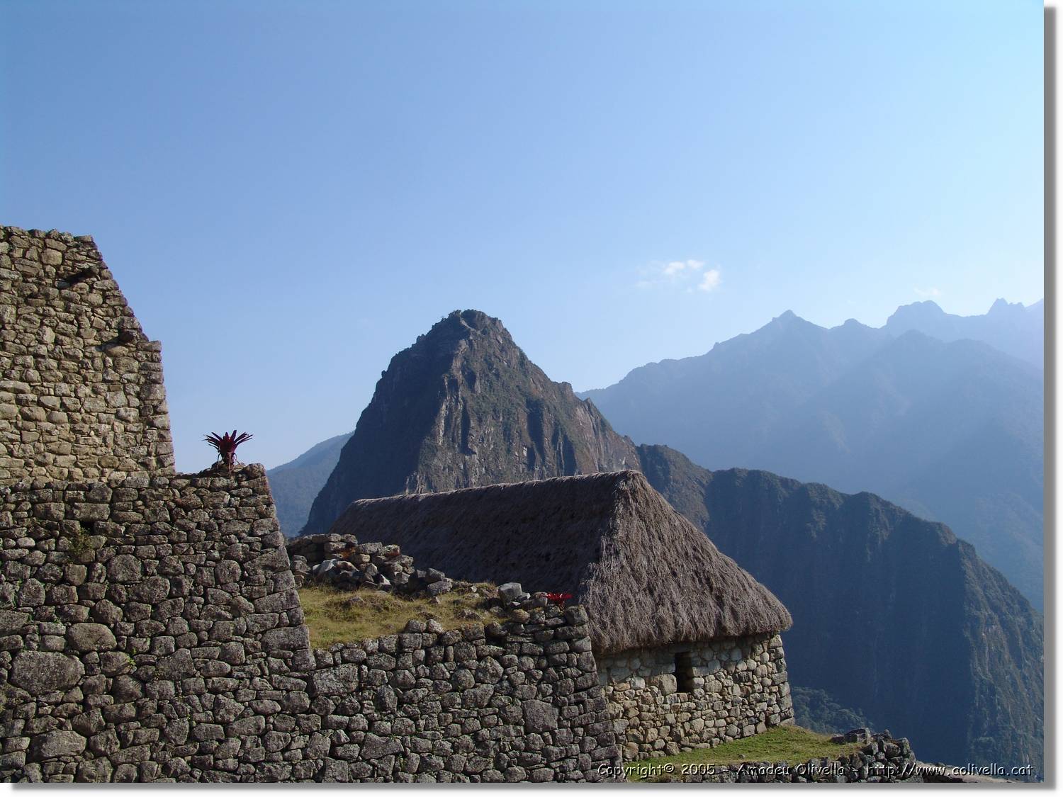 Inca_676.jpg