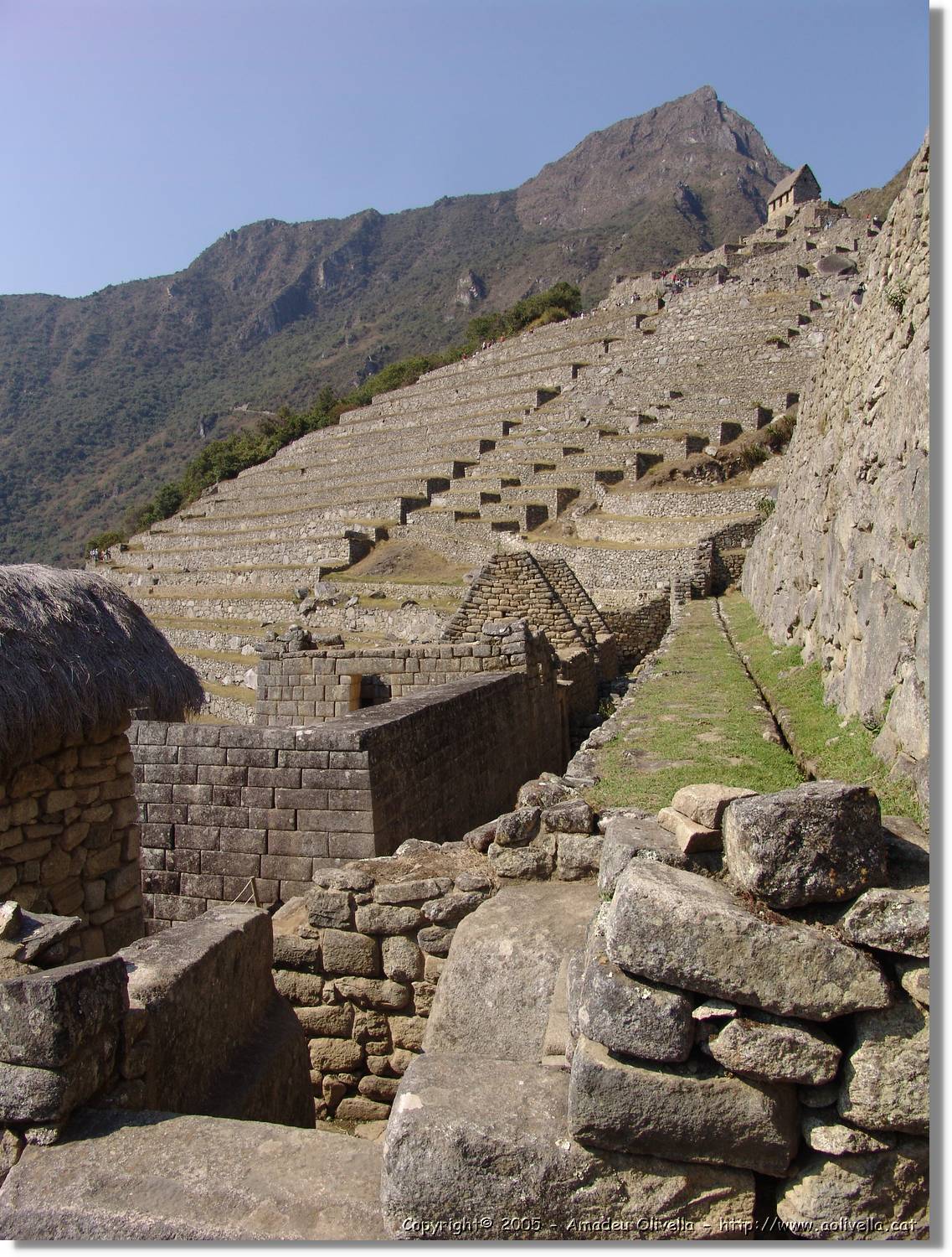 Inca_730.jpg