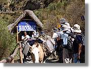 Inca_057.jpg(177 KB)