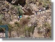 Inca_058.jpg(243 KB)