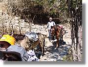 Inca_063.jpg(181 KB)