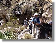 Inca_068.jpg(228 KB)