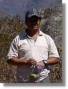Inca_071.jpg(112 KB)