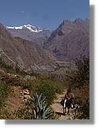 Inca_076.jpg(126 KB)