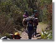 Inca_078.jpg(202 KB)