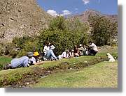 Inca_099.jpg(199 KB)