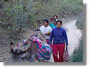 Inca_116.jpg(156 KB)