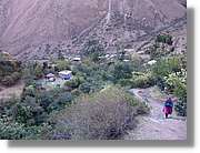 Inca_140.jpg(162 KB)