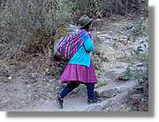 Inca_142.jpg(132 KB)