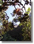 Inca_162.jpg(202 KB)