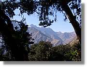 Inca_172.jpg(156 KB)