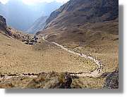 Inca_242.jpg(147 KB)