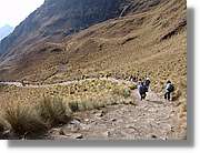 Inca_245.jpg(168 KB)
