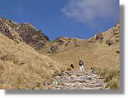 Inca_247.jpg(120 KB)