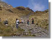 Inca_248.jpg(131 KB)