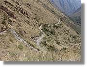 Inca_264.jpg(168 KB)