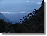 Inca_300.jpg(66,9 KB)