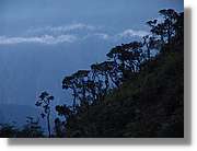 Inca_301.jpg(75,7 KB)