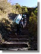 Inca_316.jpg(166 KB)