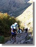 Inca_317.jpg(163 KB)