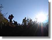 Inca_320.jpg(65,7 KB)