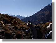 Inca_348.jpg(80,5 KB)