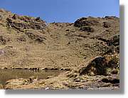 Inca_351.jpg(152 KB)