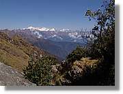 Inca_355.jpg(127 KB)