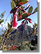 Inca_368.jpg(92,2 KB)