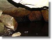 Inca_392.jpg(94,9 KB)