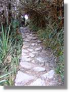 Inca_462.jpg(211 KB)