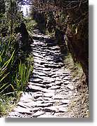 Inca_467.jpg(229 KB)