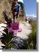 Inca_471.jpg(70,1 KB)